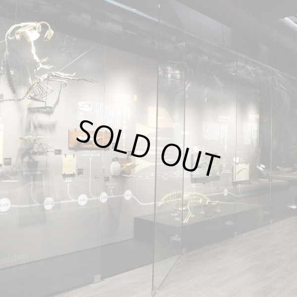 画像2: ステンレス鋼製大型ガラス用スライド丁番MICROMASTER MFH-300 (2)