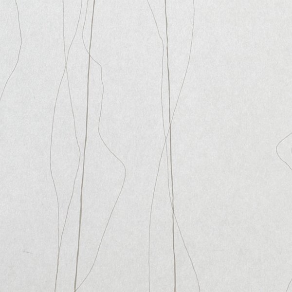 和紙単体イメージ