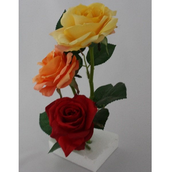 薔薇(バラ)単体