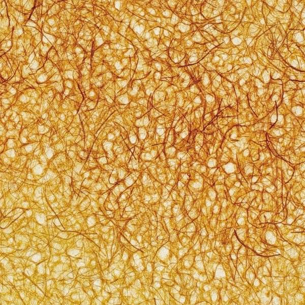 和紙単体イメージ