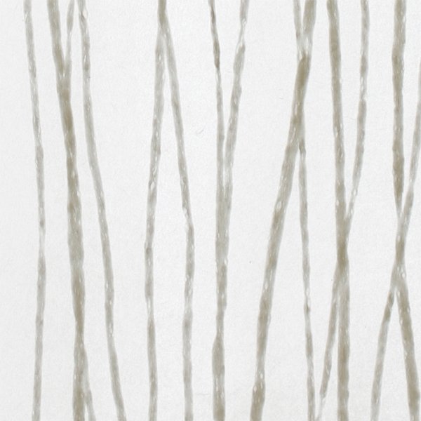 和紙単体イメージ