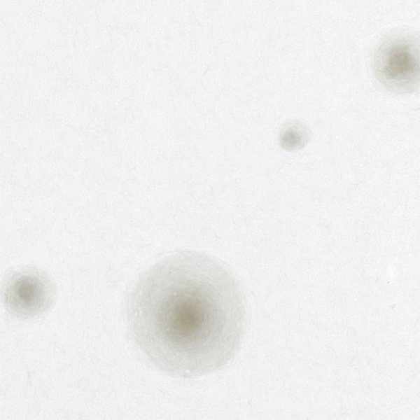 和紙単体イメージ