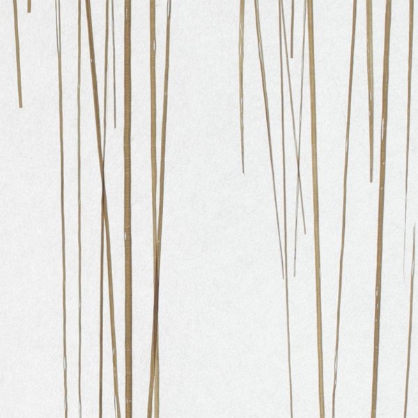 和紙単体イメージ