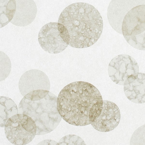 和紙単体イメージ