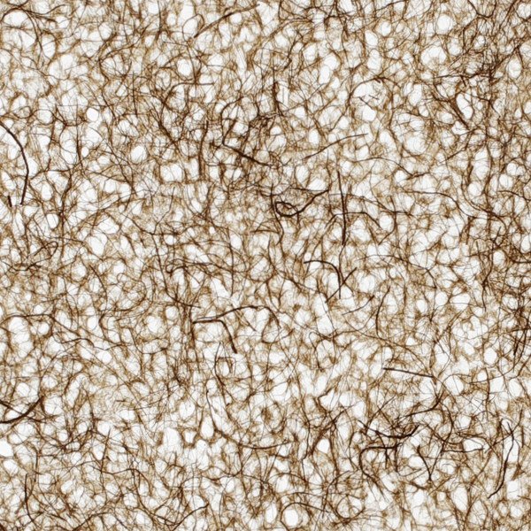 和紙単体イメージ