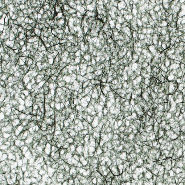 和紙単体イメージ