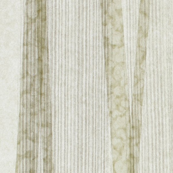 和紙単体イメージ