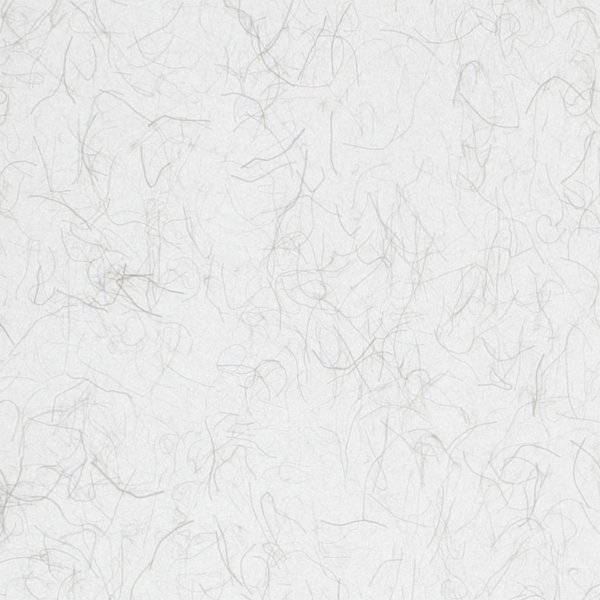 和紙単体イメージ