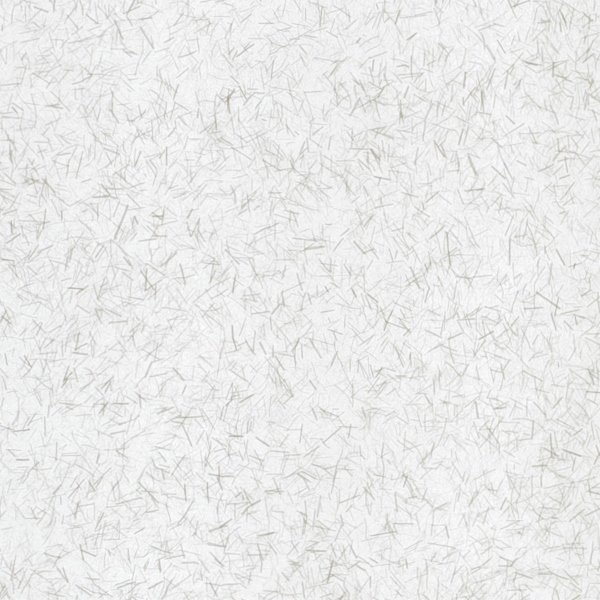 和紙単体イメージ