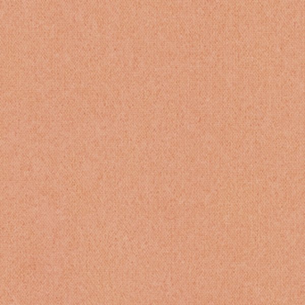 柿色(かきいろ)