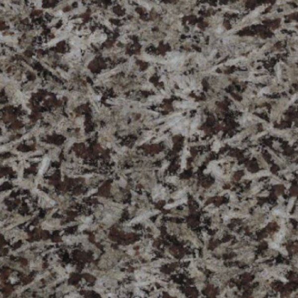 シェニートモンチーク YHGN305(A)