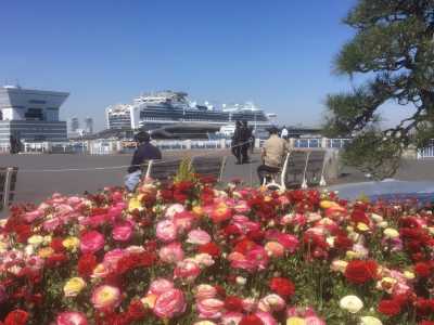 山下公園「ガーデンネックレス横浜2019」