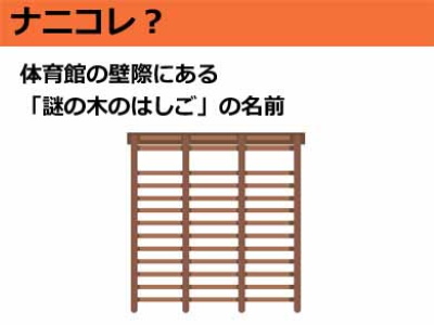 体育館の壁際にある 謎の木のはしご