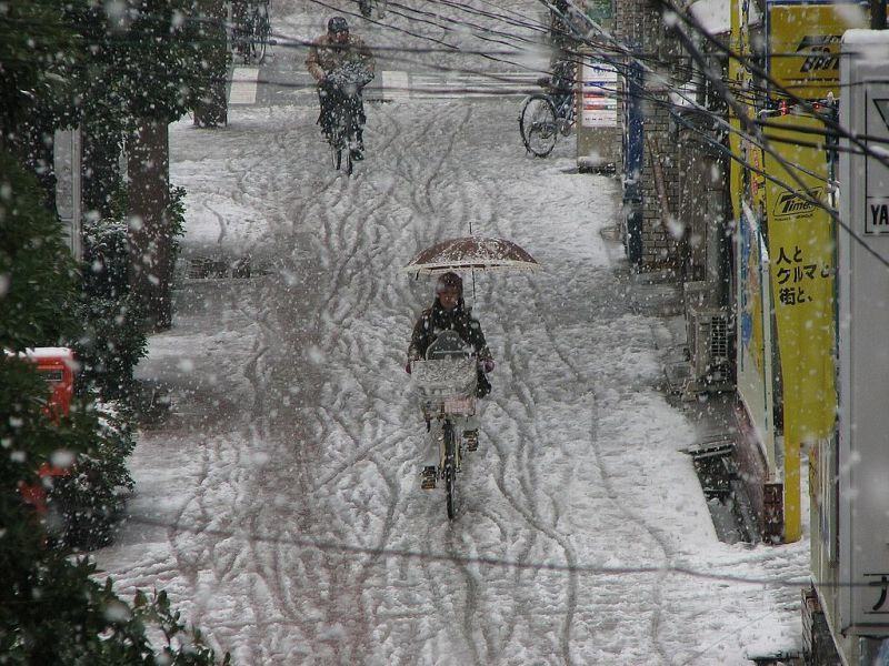 雪の道を傘を差し自転車で道行く人（大阪）