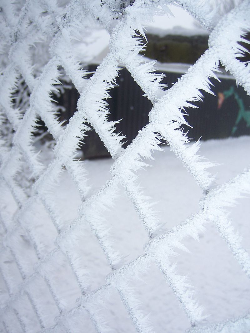 フェンスに付いた霜