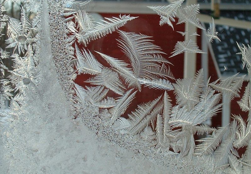 シダの葉状の霜