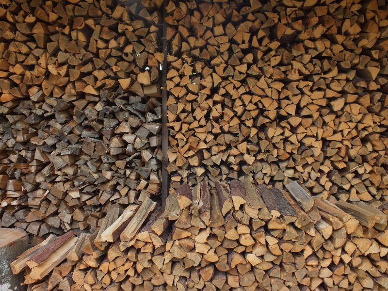 やしろの森公園（兵庫県加東市）に積まれた薪