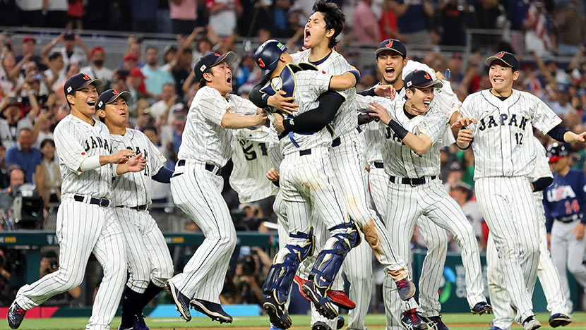 【WBC優勝おめでとう】調光フィルム見本、無料プレゼント 