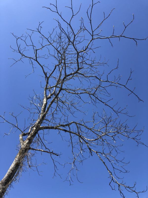 山中湖の空