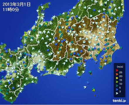 ２年ぶりのの春一番（先週）